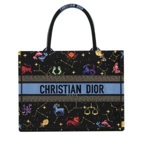 Сумка Christian Dior Book Tote R3316
